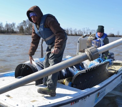 Fisheries biologists with the Tidal Bass Program, Branson Williams, left, and Tim Groves, prepare to submerge an artificial habitat in Gumtree Cove. The structure provides a nesting area for largemouth bass in the Nanjemoy River in Charles County. (Photo: Angela Harvey)