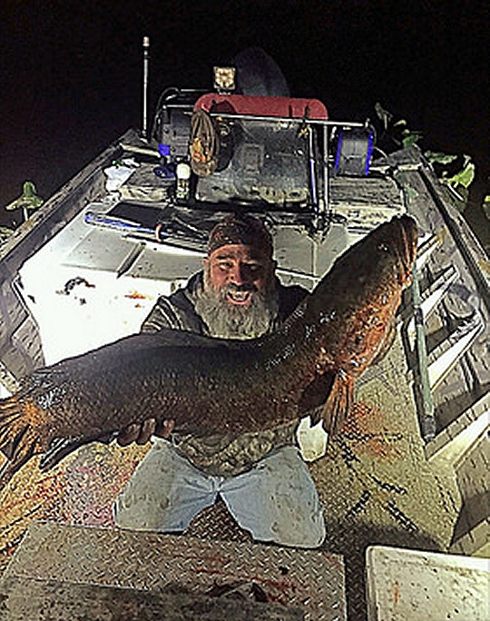 Emory (Dutch) Baldwin III from Indian Head displays the record breaking snakehead fish he caught using a compound bow in the Potomac River. The fish is an invasive species and the state wants all the help it can get to eradicate them.
