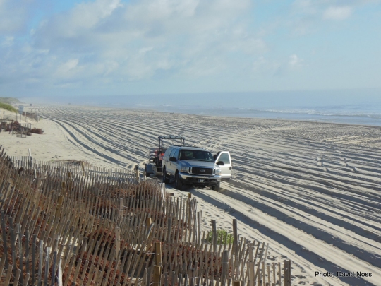 The outer Banks of North Carolina in the morning hours before the beach fills up with vehicles and people. (Photo: David Noss)