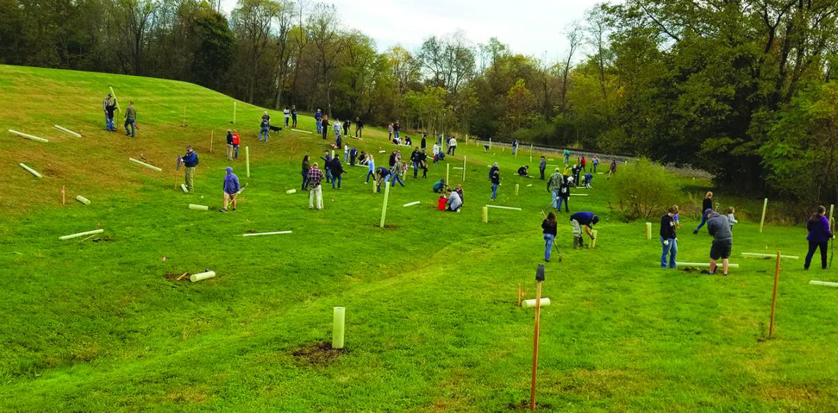 "Tree planting magic" in action: This large, energetic group of volunteers planted approximately 600 trees in just a few hours at a school in northern York County, PA, in the fall of 2019. (Ryan Davis)