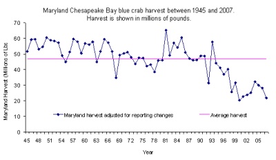Annual blue crab harvest chart shows that 2007 was one of the worst years in history. An overall downward trend began in the late 1980s. Source: Md. DNR.