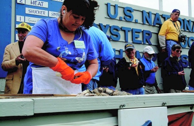 Lisa Bellamy tears into her allotment of Oysters during a heat in the U.S. National Oyster Shucking Championship Contest held during the Forty-second Annual Oyster Festival in Leonardtown. (Photo: Andrea Shiell)