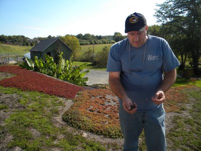 Co-owner John Shepley shows one of the many green roof plants grown on the farm. (Photo by Maryland Newsline's Lindsay Gsell)