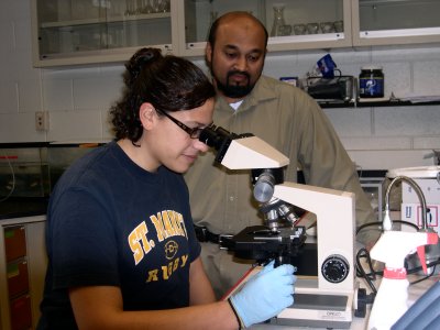 Dr. John Ramcharitar, assistant professor of biology at St. Mary’s College of Maryland, was awarded one of only four grants awarded nationally from the Support of Mentors and their Students from UnderRepresented Minorities (SOMAS-URM). Grant money will go to researching the impact of several FDA-approved pharmaceuticals that can produce toxic effects (ototoxic) in the inner ears of humans. Ramacharitar and his student assistant, Diana Roman, will test the drugs on the zebra fish. (Submitted photo)