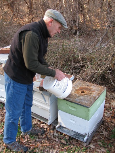 Retired tennis coach turned full-time beekeeper Dean Burroughs checks on his bees while they are wintering at Pemberton Historical Park in Salisbury. (Photo: Mali Krantz)