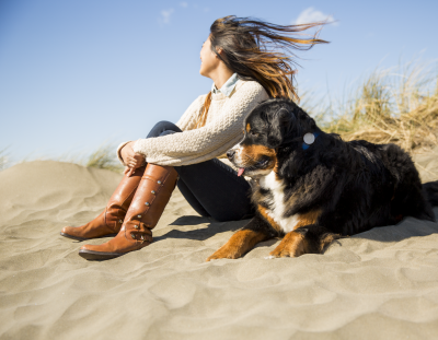 A dog spends quality time on the beach with its owner while sporting a Whistle activity tracker. Photo courtesy of Whistle.