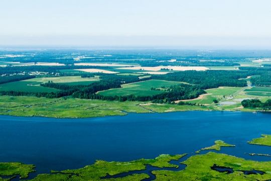 The Choptank Wetlands Preserve and the Choptank River are bordered by farm land in Easton, Md., on June 18, 2010. (Photo by Matt Rath/Chesapeake Bay Program, CC BY-NC 2.0 via Flickr)