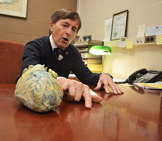 State Anatomy Board Director Ronn Wade explains what hypertension looks like on one of three silicon-laced hearts he keeps in his office at the University of Maryland School of Medicine, April 5, 2016. (Photo: Leo Traub)