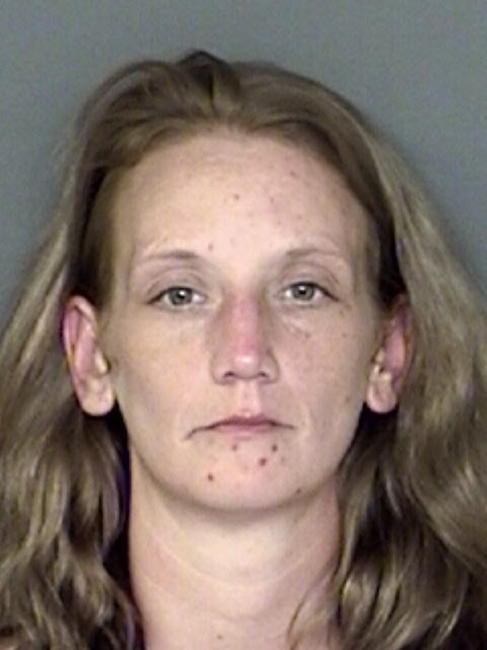 Anita Louise Schriver, age 36, of Lexington Park, Md. Booking photo)