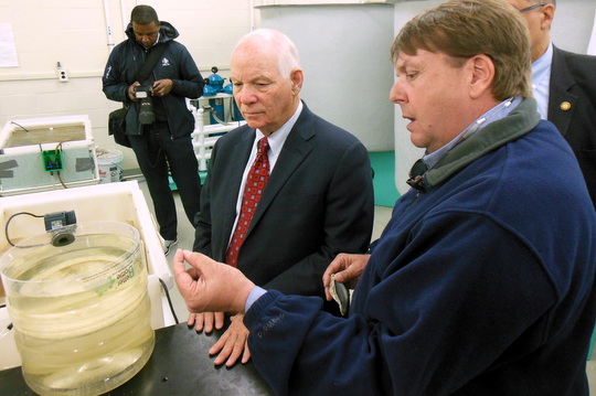 Sen. Cardin attaends a presentation at Morgan State University's Patuxent Environmental & Aquatic Research Laboratory (PEARL) earlier this year. PEARL is located on the grounds of Jefferson Paterson Park and Museum in St. Leonard, Calvert County. PEARL is also instrumental in the effort to establish an oyster farming industry in Maryland. In addition to providing oyster spat (seeds) to local watermen, they also provide scientific knowledge to the aquaculture farmers to assist them in their oyster growing operations. (Photo: David Noss)