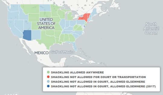 Advocacy groups for juvenile justice have been pushing for juvenile shackling policy changes in Maryland. A task force has been put together to analyze other states' policies. Maryland is one of 24 states that allows juvenile offenders to be shackled during transportation but not in court. In 2017, Delaware and Arizona will also adopt this policy. Two states have banned shackling during transportation and don't practice shackling in court, and 22 states have no policy, which means juvenile offenders can be shackled anywhere. (Chart by Teresa Lo)