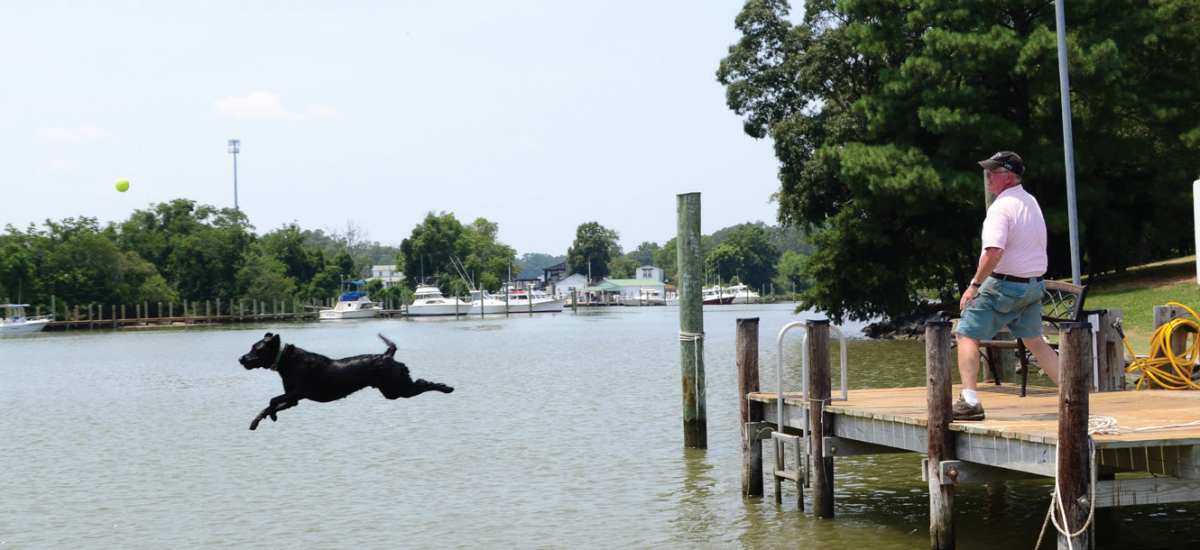 Ray Raley and one of his retrievers in July of 2012.