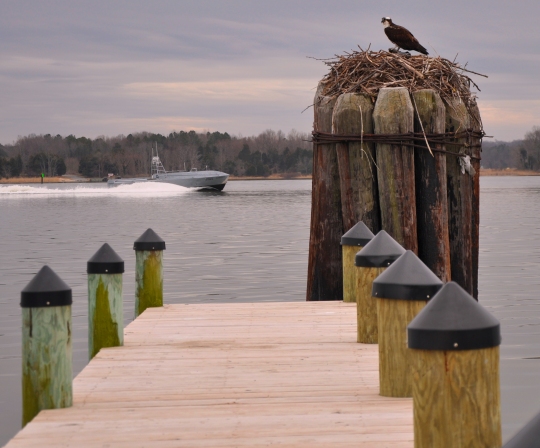 DAHLGREN, Va. (March 28, 2017) - A developmental, early variant of the Common Unmanned Surface Vehicle (CUSV) autonomously conducts maneuvers on the Potomac River Test Range during its demonstration before government, defense contractors, military personnel - and an Osprey. Navy scientists and engineers plan to prove the power of Naval Surface Warfare Center Dahlgren Division (NSWCDD) developed weapons systems integrated with the developmental CUSV at a gunfire demonstration later this year. A cooperative research and development agreement between NSWCDD and Textron Systems covers the integration of missile, designator, and remote weapon station payloads to the CUSV with its 3,500-pound payload capacity on the deck and a payload bay measuring 20.5 x 6.5 feet. (U.S. Navy photo/Released)