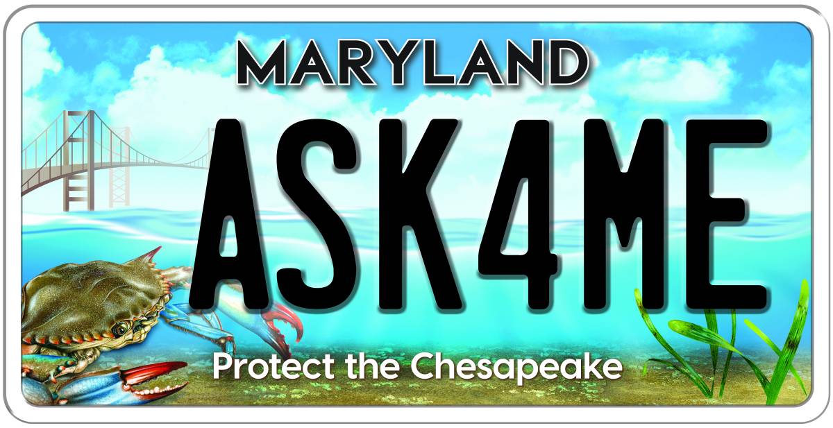 The newest Chesapeake Bay license plate design.