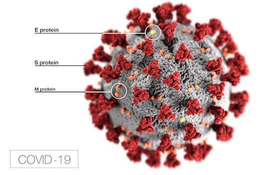 This illustration, created at the Centers for Disease Control and Prevention (CDC), reveals ultrastructural morphology exhibited by coronaviruses. Note the spikes that adorn the outer surface of the virus, which impart the look of a corona surrounding the virion, when viewed electron microscopically. In this view, the protein particles E, S, and M, also located on the outer surface of the particle, have all been labeled as well. A novel coronavirus, named Severe Acute Respiratory Syndrome coronavirus 2 (SARS-CoV-2), was identified as the cause of an outbreak of respiratory illness first detected in Wuhan, China in 2019. The illness caused by this virus has been named coronavirus disease 2019 (COVID-19).