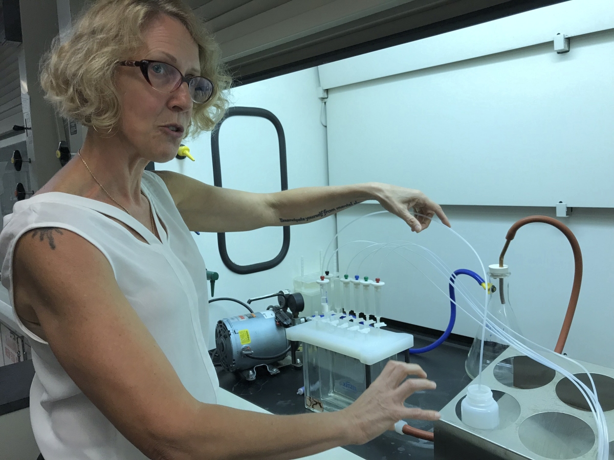 June Black, organic chemistry chief of the Pennsylvania Department of Environmental Protection's Bureau of Laboratories, demonstrates equipment used to extract PFAS from water samples. The lab acquired new equipment to enable DEP to identify and measure concentrations of PFAS in drinking water being sampled across the state. (Bay Journal photo by Timothy B. Wheeler)