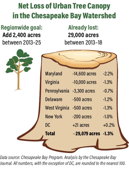 "Net loss" graphic credit: Michele A. Danoff/Graphics by Design