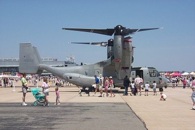 osprey-3.jpg (22281 bytes)