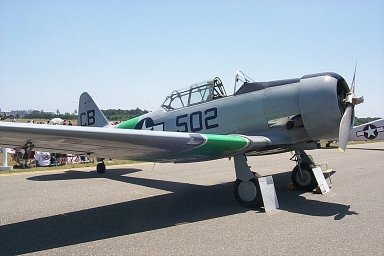 SNJ-5_Texan-1.jpg (21940 bytes)
