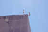 P0000180.JPG (40301 bytes)