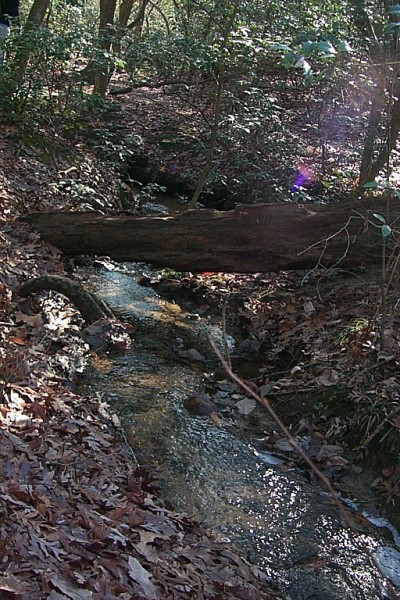 Click to see next picture