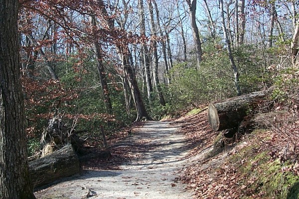 Click to see next picture