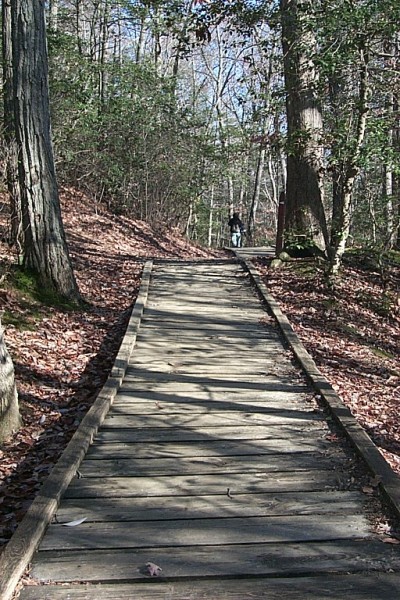 Click to see next picture