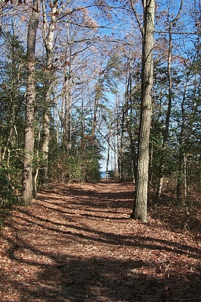Click to see next picture