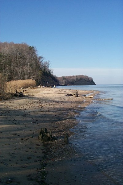 Click to see next picture