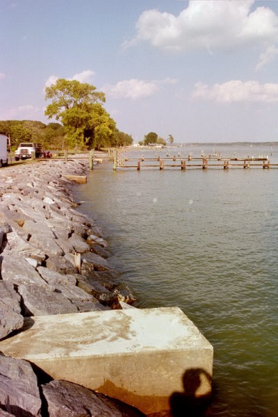 Click to see next picture