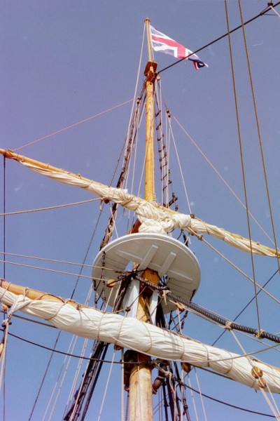 Click to see next picture