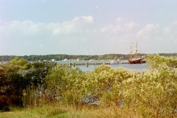 Click to see next picture