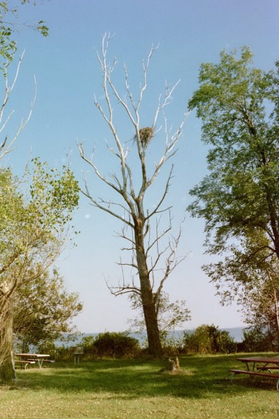Click to see next picture