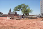 Survivor's Tree - Oklahoma City