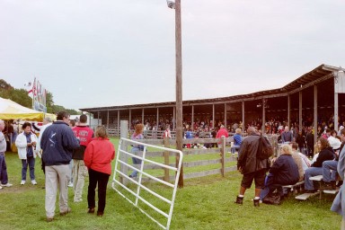 The Oyster Festival is held at the St. Mary's County fairgrounds in Leonardtown, MD.  In this photo a crowd awaits the start of the next heat in the oyster shucking competition.