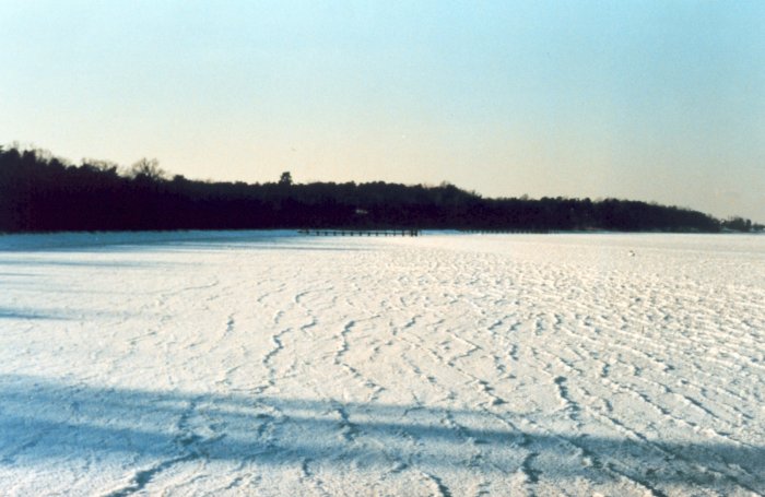 Click to display next picture