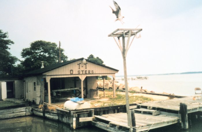 Click to display next picture